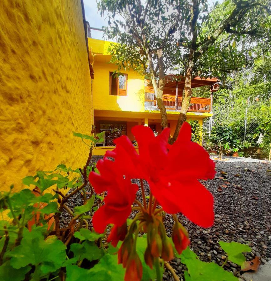 Cafe Racer Hostel Jardín Buitenkant foto